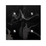 BTS 2nd Album [WINGS]